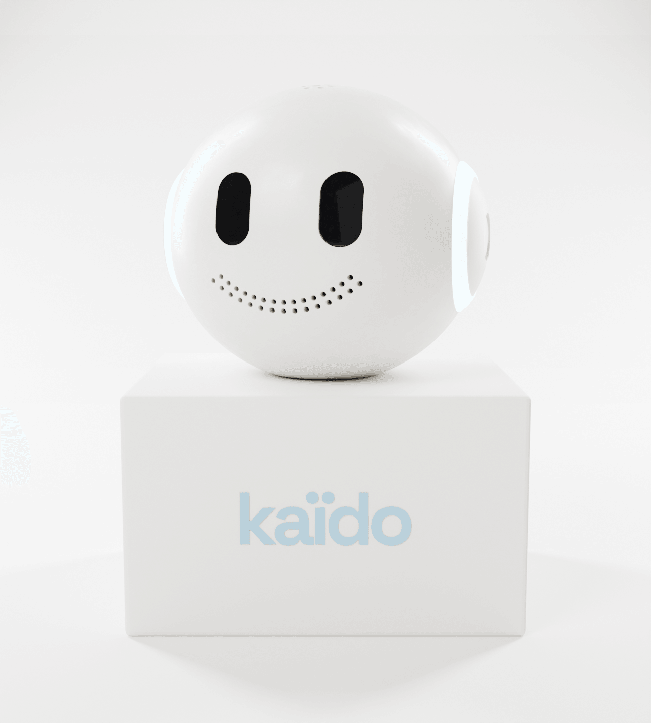 The KAÏDO sphere on its Kaïdo-branded box